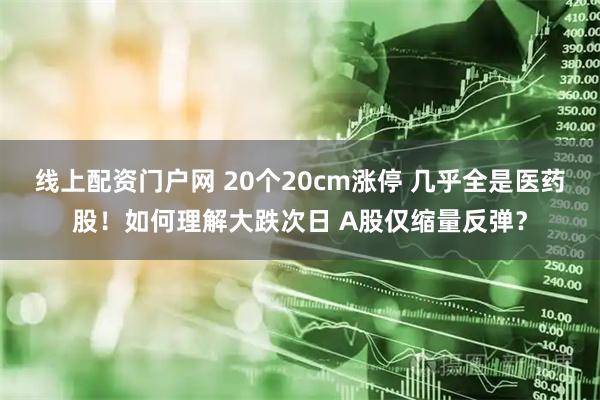 线上配资门户网 20个20cm涨停 几乎全是医药股！如何理解大跌次日 A股仅缩量反弹？